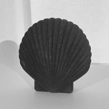 Écrin à bijoux en forme de coquille Saint-Jacques